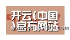 开云官网合作伙伴二